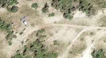 Forest Road 1271
