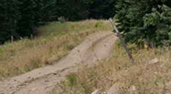 Forest Road 4723