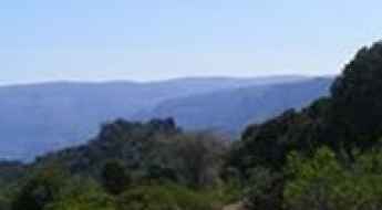 Geeldora Road