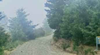 Jollies Pass