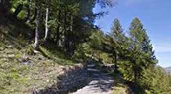 Rifugio Barbara Lowrie