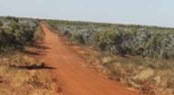 Buntine Highway