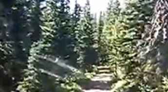 Cottonwood Peak