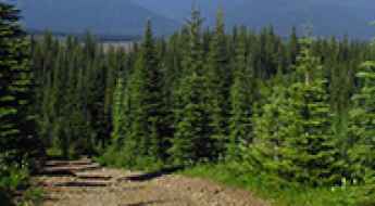 Eureka Mountain