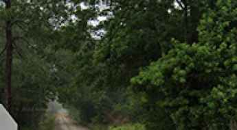 Old Ghost Road