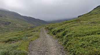 Road F959 (Viðfjarðarvegur)
