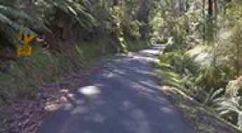 Mount Baw Baw Tourist Road