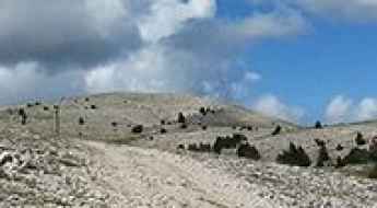 Pedró dels Quatre Batlles