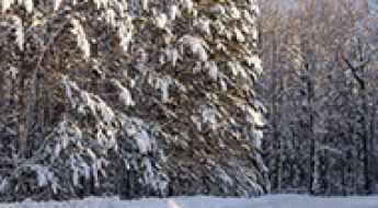 Staying Safe on Minnesota Roads in the Winter