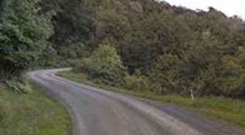 State Highway 38 in NZ