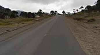 Paso Pino Hachado