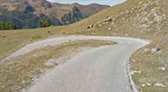 Alp Mandelon
