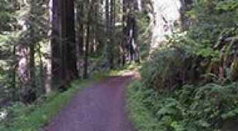Cal-Barrel Road