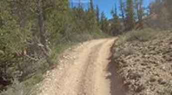 Forest OHV Trail 33089
