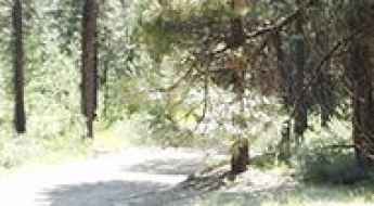 Jackson Peak