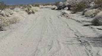 Tamarisk Road