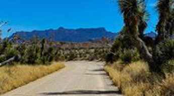 Old Maverick Road