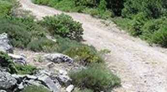 Paso del Reventon
