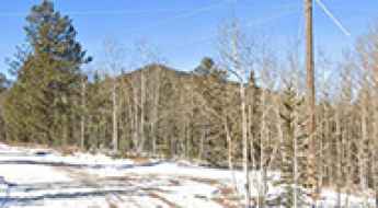 Rhyolite Mountain