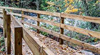 Top 5 Must-Hike Trails in the Smokies for Every Skill Level