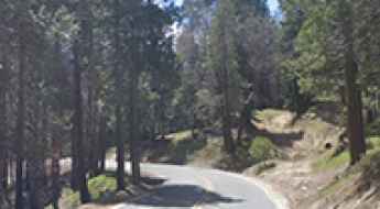 Greenhorn Summit