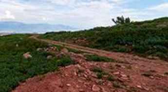 White Pine Peak