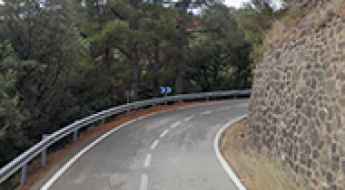 Coll Formic