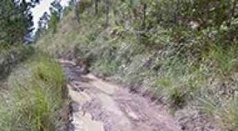 Mount Pulag