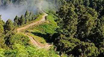 Camino Llano de Tauce