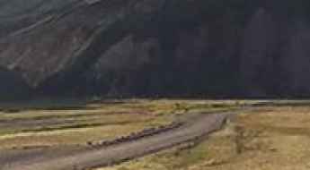 Road F224 (Landmannalaugavegur)