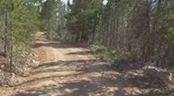 Forest Road 196