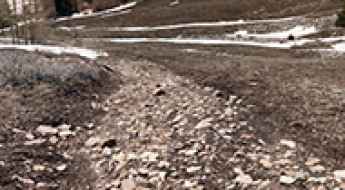 Forest Road 4725