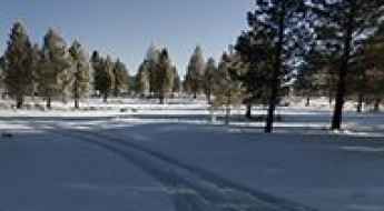 Harvey Mountain