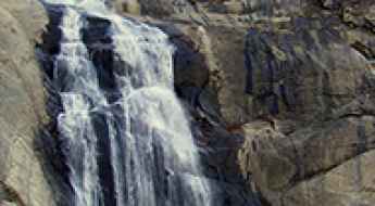 Stevenson's Creek Falls