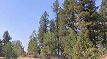 Rampart Range Road