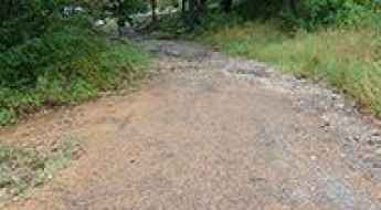 Zombie Road