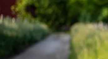 5 Tips for Driving On Country Roads