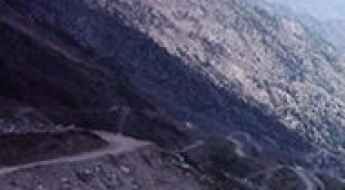 Batogah Top