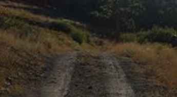 Bear mountain