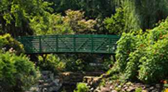 Best Parks & Trails to Visit in Overland Park, KS