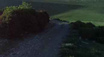 Coll del Pal