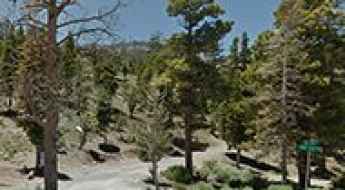 Cougar Ridge