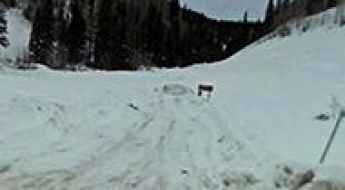 East Lone Cone Pass