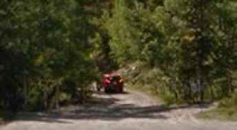 Forest Road 230