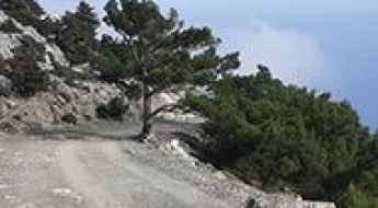 Mount Kofinas
