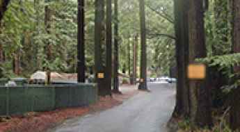 Mystery Spot Road