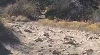 Pilot Peak in Plumas County