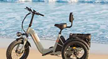 Puckipuppy Husky Plus: Dual Battery Electric Trike Reviews