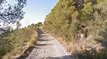 Puig de Montgròs