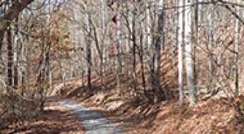 Sheep Creek Road
